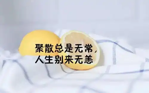 打动人心的句子简单又暖心的心情短句

