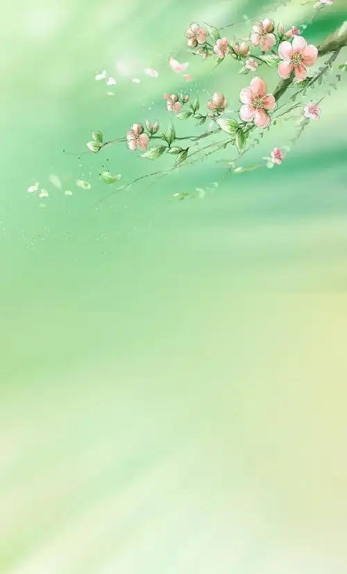 清新淡雅干净有品味的手机壁纸,可以养眼静心
