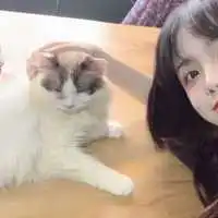 对象不是人系列沙雕情头cp头像
