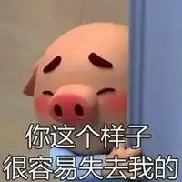 呆萌猪头像微信头像微信头像图片大全
