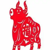 属牛本命年头像微信头像图片大全
