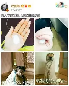 赵丽颖情人节不撒糖反撒盐赵小刀重出江湖画风清奇
