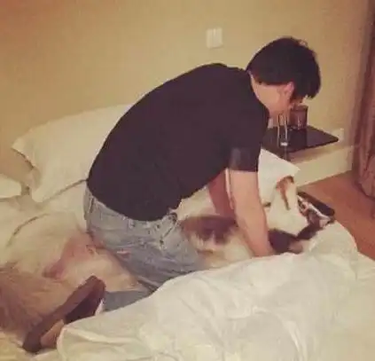 情人节王思聪送花王可可堆满屋,晒王可可菜单,网友狗命真好
