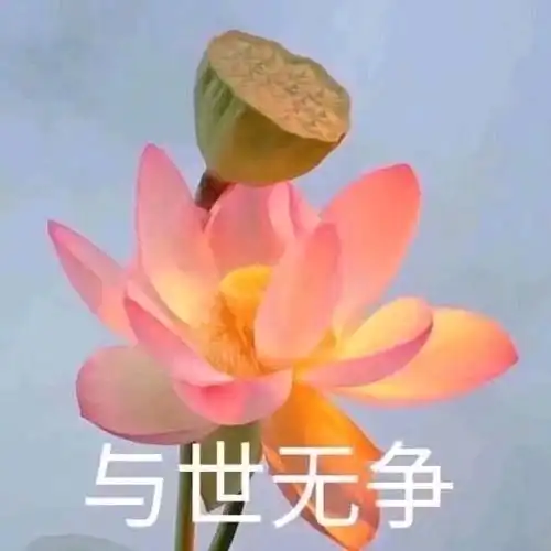 9.14专栏日更
