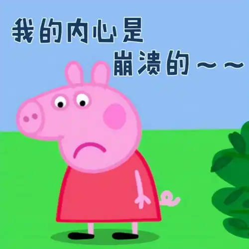 什么1000元内安了个家,还能交友脱单助战职场
