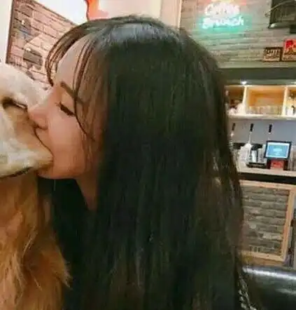 有没有鹅有套路情侣头像猪女孩抱猪的那个
