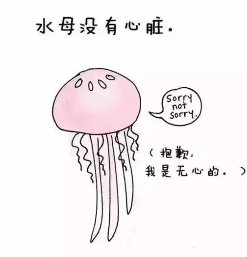 30个滑稽呆萌的动物冷知识,大人孩子一起涨姿势吧
