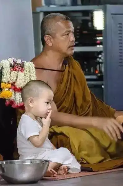 这些小和尚,居然萌翻了全世界
