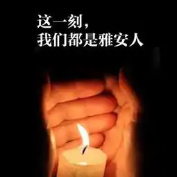 汇聚爱心祈福雅安北京大学深研院赈灾募捐倡议书
