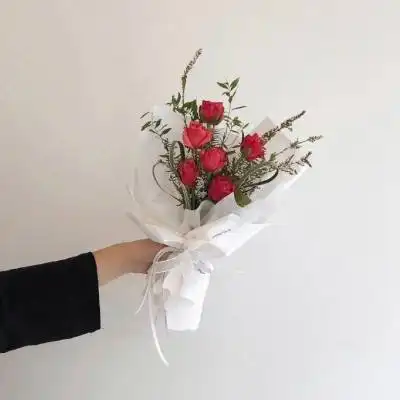 球速体育app下载
