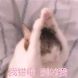 哄男朋友的表情包超萌无水印撩男朋友撒娇卖萌表情包带字2019
