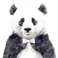 熊猫可爱喜庆卡通头像微信头像图片大全
