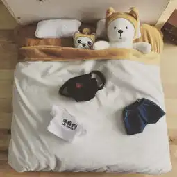 淘宝上有哪些价格不高,格调很高的东西
