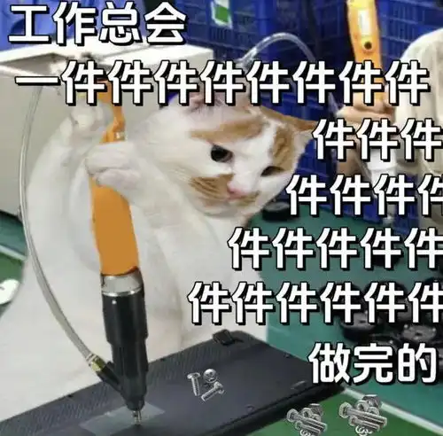 00后的工牌有种淡淡的疯感网友在公司耍大牌了,耍的工牌
