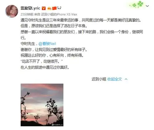2019分手的12对明星情侣,马伊琍李晨让人惋惜,她却成众
