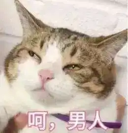 新店这家烤鱼店,一开业就霸屏古镇利和丧心病狂连续7天5折
