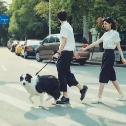 一对情侣和一只狗在江边低头的情侣头像,蟹蟹大家啦,帮忙找找
