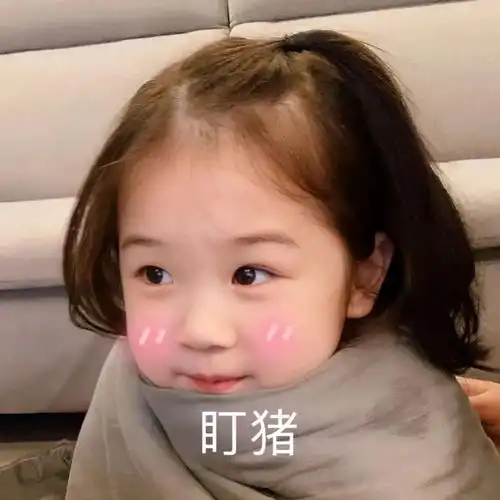 表情包你看我像不像你爹
