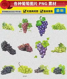 卡通葡萄图片素材卡通葡萄图片素材下载卡通葡萄图片大全我图网
