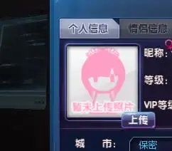 touch炫舞资料不显示头像怎么回事啊
