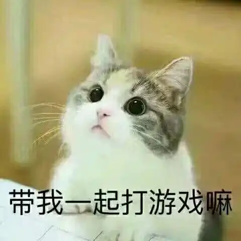 专访骨灰级帮主战筱北北
