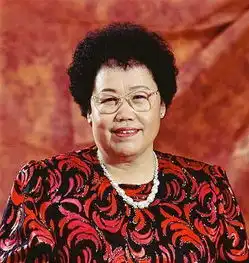 中国超有名气的女富豪座驾盘点,老干妈用车牌号就可以甩一条街
