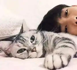 七夕如何跟猫秀恩爱
