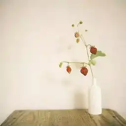 能看懂这些个性签名,你才算真的爱过伤过
