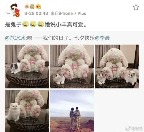 吃着范冰冰告白李晨的糖,陪女朋友玩同款鲜花兔子游戏
