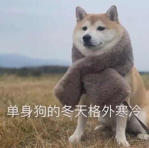 神回复情侣之间突然没话题了怎么办哈哈哈,一开口就是老单身了
