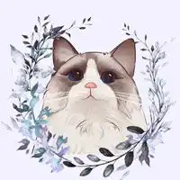 猫q版图片卡通可爱猫咪q版萌图
