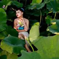 起舞弄清影扇子头像
