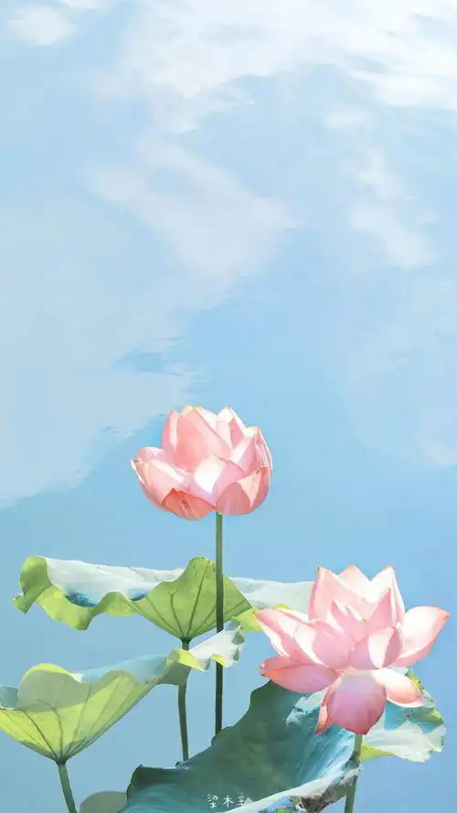 诗词何须更问浮生事,只此浮生是梦中
