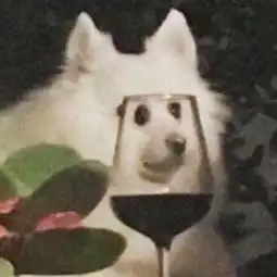 吃猪手上瘾了怎么办
