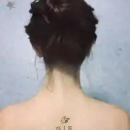 女生身体部位

