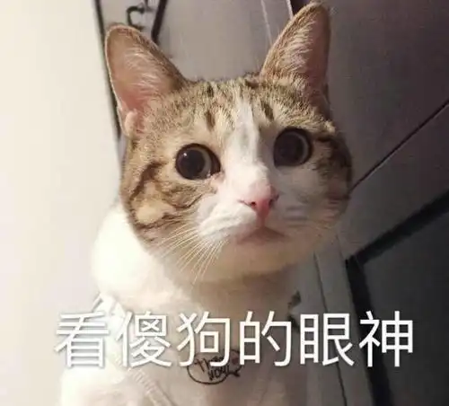 暗搓搓地秀恩爱那些看起来不像情侣头像的情侣头像
