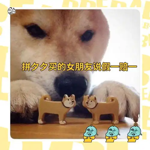 啥绿不绿帽,这就是我儿子沙雕网友在线吐槽连自己都不放过
