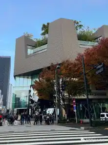 day4明治神宫原宿表参道涉谷银座
