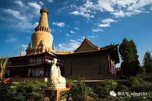 张掖七彩丹霞嘉峪关莫高窟鸣沙山马蹄寺扁都口油菜花双飞五日游开班7月11首发18日
