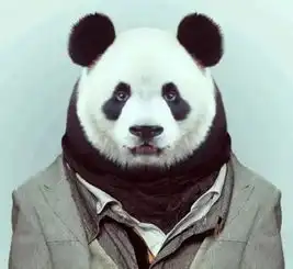 疯狂动物援,送你最美证件照

