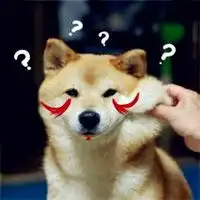 搞笑的柴犬doge表情图片头像
