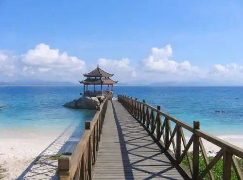 手拉手去海边踏浪可好
