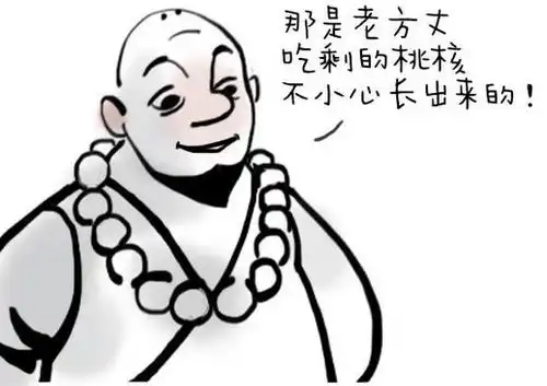 一禅小和尚一禅问何为姻缘,师傅一个人会孤单,两人少些孤单

