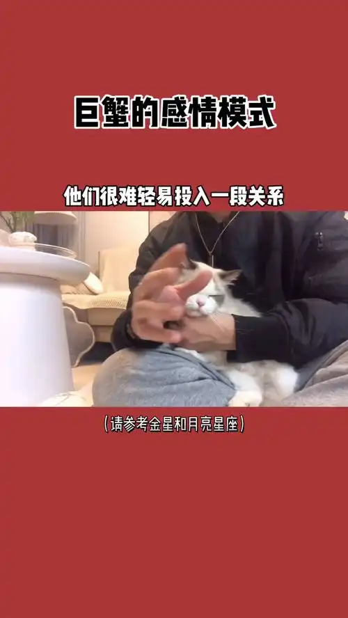 巨蟹座的感情模式情感咨询星座分析分手复合星盘分析合盘
