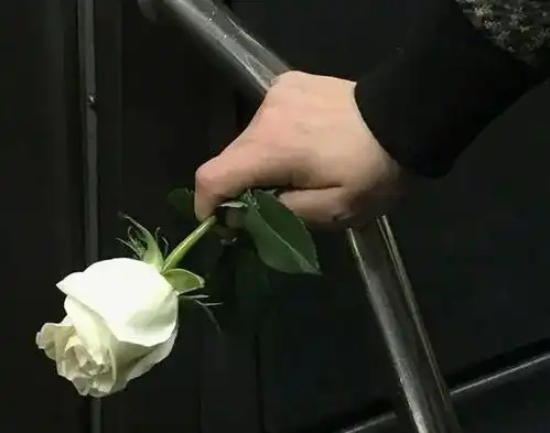 人到了中年,愿你遇到懂你的人
