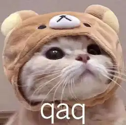软萌猫咪表情包,用它和男票撒娇,隔着屏幕都是甜腻的味道
