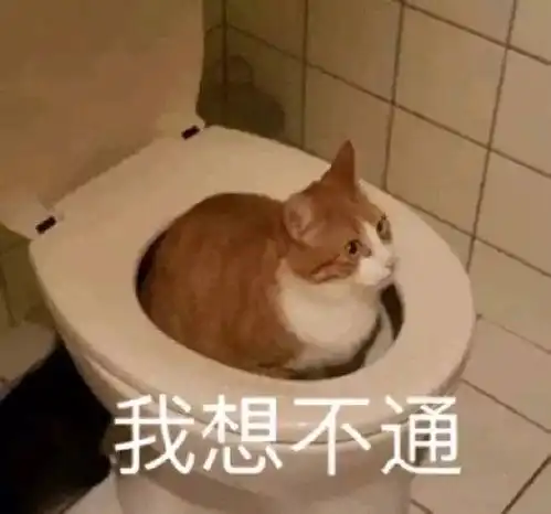 有两个工作麻烦姐妹们帮我选一下
