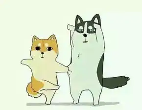 喜欢猫猫狗狗的小伙伴不可错过的萌宠情侣头像
