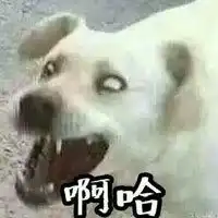 搞笑情侣头像娘子啊哈微信头像图片大全
