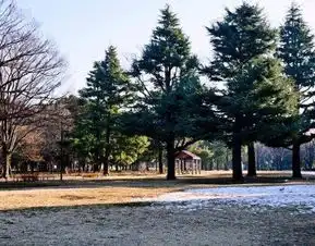 2019代代木公园门票,东京代代木公园游玩攻略,代代木公园游览攻略路线地址门票价格
